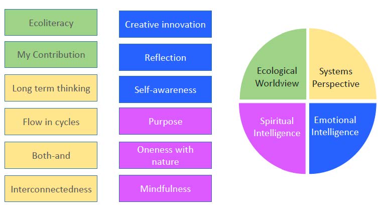 Sustainability Mindset