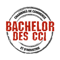 Bachelor des CCI