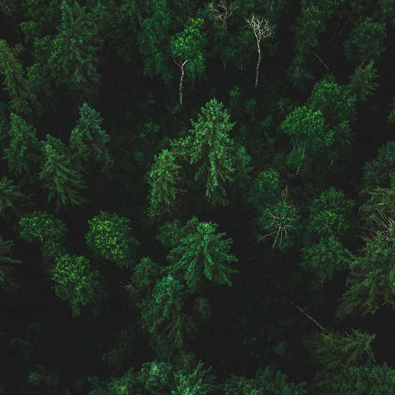 Climat - Excelia