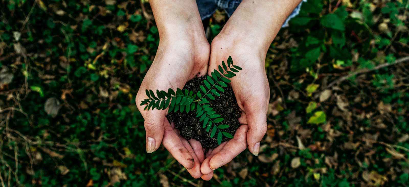 sensibiliser les étudiants aux enjeux environnementaux