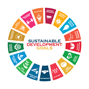 Objectifs de développement durable