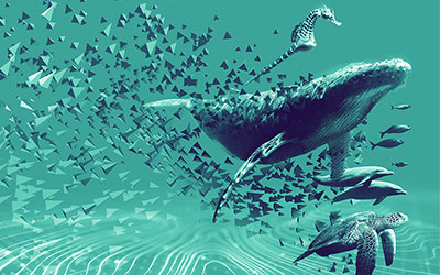 ocean-hackathon-larochelle-excelia