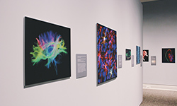 actu-neurosciences-valerie-fernandes