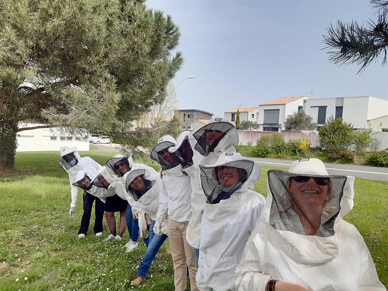 ascenseur social excelia