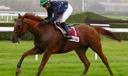 formation-athletes-excelia