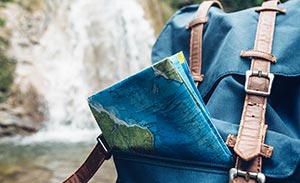 International Excelia