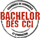 Label Bachelor des CCI