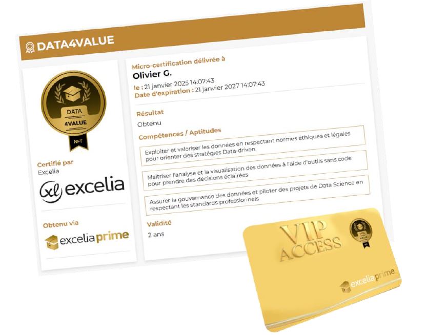 pass VIP Exceliaprime