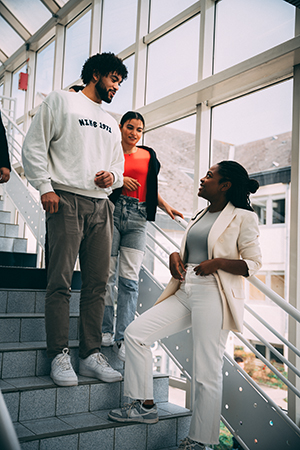 Parcours XL Entrepreneur