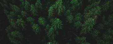 La fresque du climat et les fresques spécialisées, des « serious games » au service de la sensibilisation des étudiants aux enjeux climatiques et environnementaux