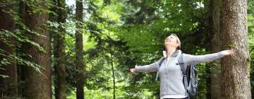 Comment gérer son stress avant un examen