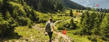 Phase complémentaire Parcoursup, suivez le guide !
