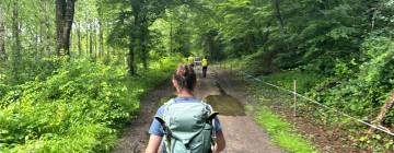 XL Blue Walk 2024 👣 : Documentaire et carnet de voyage d'une marche transformante