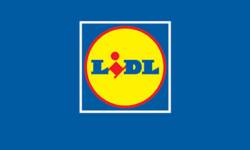Consultancy Project  - LIDL
