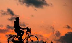 La mobilité durable dans les territoires