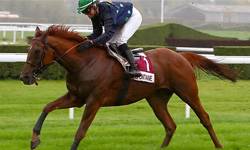 Excelia s’engage pour la formation des athlètes de haut niveau et des acteurs des structures sportives