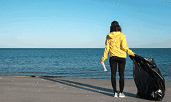 Le Bachelor Business passe au vert ! 