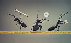 RSE : Faire sa part, un travail de fourmi