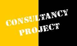 Consultancy Project : des étudiants en compétition pour le Stade Rochelais !