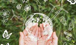 Quelles sont les attentes des voyageurs concernant la démarche environnementale des meublés de tourisme ? 