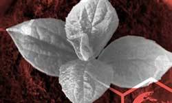 Découvrez le rapport RSE 2020-2021 d'Excelia