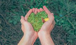 Classement Change Now et Les Echos Start : Excelia Business School dans le top 10