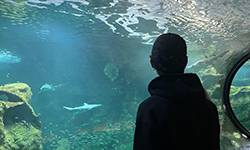 Global Network Week : s'unir autour du développement durable 