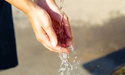 Une offre pédagogique augmentée : la blue education experience 