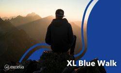 XL Blue Walk