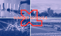 Summer schools : l'immersion française à Excelia