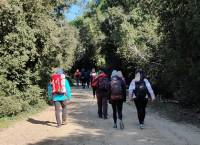 Excelia-Electif-Randonnée