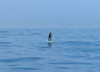 Pierre Delacoux - Programme Grande Ecole