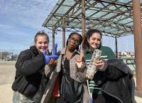 Global Network Week 2