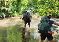 XL Blue Walk - Photo 1