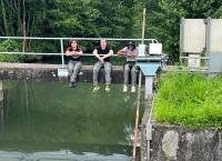 XL Blue Walk - Photo 3