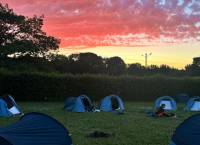 XL Blue Walk - Photo 5