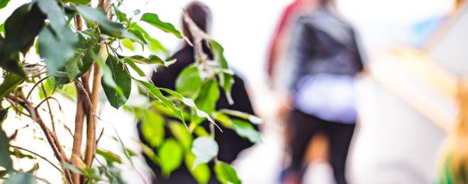 Institut de la Responsabilité Sociétale par l’Innovation Excelia